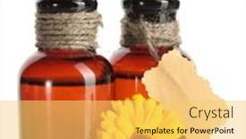  Presentation with calendula - 