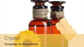  Presentation with calendula - 
