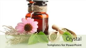  Presentation with echinacea - Beautiful PPT layouts featuring medicine bottles with purple echinacea backdrop and a mint green colored foreground