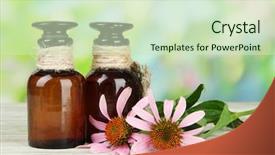  Presentation with echinacea - PPT theme featuring medicine bottles with purple echinacea background and a soft green colored foreground