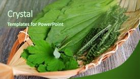  Presentation with herbs - Audience pleasing theme consisting of english soldier - medicinal herbs on table close-up backdrop and a tawny brown colored foreground