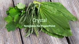  Presentation with herbs - Colorful presentation theme enhanced with english soldier - medicinal herbs on table close-up backdrop and a tawny brown colored foreground