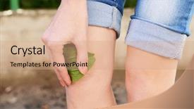  Presentation with plantain - Colorful PPT layouts enhanced with english soldier - plantain leaves on knee outdoors backdrop and a coral colored foreground