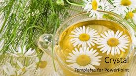  Presentation with herbal medicine healing herbs mortar - Beautiful PPT theme featuring medicine cup - herbal chamomile tea isolated backdrop and a yellow colored foreground