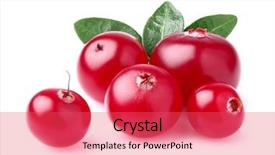  Presentation with herbal medicine - Cool new slides with medicine herbal - beauty cranberry with leaves backdrop and a red colored foreground