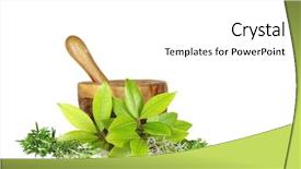  Presentation with herb - Colorful theme enhanced with medicine herbal - fresh herb selection of rosemary backdrop and a white colored foreground