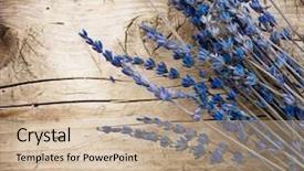  Presentation with herbal medicine - Slide deck featuring medicine herbal - lavender over wood background background and a soft green colored foreground