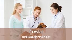  Presentation with animal health - Presentation design featuring medicine pet animal health care background and a coral colored foreground