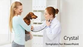  Presentation with animal health - Theme enhanced with medicine pet animal health care background and a light gray colored foreground