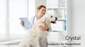  Presentation with animal health - PPT theme featuring medicine pet animals health care background and a light gray colored foreground