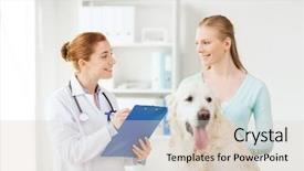  Presentation with arthritis medical examination medicine health - Amazing PPT theme having medicine pet animals health care backdrop and a lemonade colored foreground