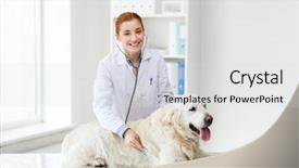  Presentation with animal health - Audience pleasing slide set consisting of medicine pet animals health care backdrop and a sky blue colored foreground