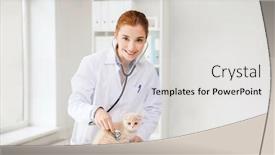 Presentation with fold - Beautiful slide deck featuring medicine pet animals health care and people concept - happy veterinarian doctor with stethoscope checking scottish fold kitten up at vet clinic backdrop and a light gray colored foreground