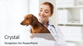  Presentation with health care - Beautiful PPT layouts featuring medicine pet animals health care backdrop and a sky blue colored foreground