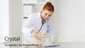  Presentation with fold - Amazing PPT layouts having medicine pet animals health care backdrop and a  colored foreground