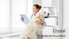  Presentation with health care consumer - Colorful slides enhanced with medicine pet animals health care backdrop and a soft green colored foreground