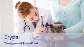  Presentation with health care leadership - Amazing slides having medicine pet animals health care backdrop and a sky blue colored foreground