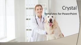  Presentation with animal health - Audience pleasing presentation design consisting of medicine pet animals health care backdrop and a light gray colored foreground