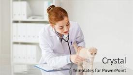  Presentation with health-care - Beautiful slide set featuring medicine pet animals health care backdrop and a light gray colored foreground