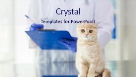  Presentation with fold - Amazing presentation design having medicine pet animals health care backdrop and a sky blue colored foreground