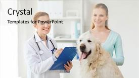  Presentation with golden woman - Amazing theme having medicine pet animals health care backdrop and a light gray colored foreground