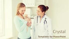  Presentation with health-care - Slide set having medicine-pet-animals-health-care background and a cream colored foreground