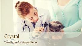  Presentation with health-care - Beautiful slides featuring medicine pet animals health care backdrop and a  colored foreground
