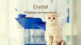  Presentation with fold - Audience pleasing PPT theme consisting of medicine pet animals health care backdrop and a sky blue colored foreground