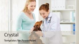  Presentation with pet - PPT theme enhanced with medicine pet care and people background and a soft green colored foreground