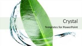  Presentation with water leaf - Slide set having dewdrop - green leaf in water splashes background and a mint green colored foreground