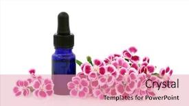  Presentation with herbal medicine flowers - Amazing slides having medicine with aromatherapy essential oil backdrop and a coral colored foreground