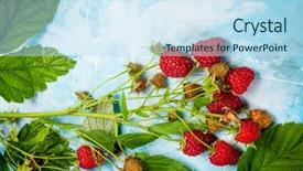  Presentation with border - PPT theme enhanced with medicineart - fresh raspberry border with leaves background and a sky blue colored foreground