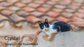  Presentation with castle wall - Presentation theme consisting of medieval streets of the byzantine background and a coral colored foreground