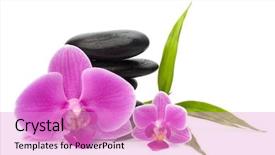  Presentation with spa concept - Amazing slide deck having meditation stones - zen pebbles balance spa backdrop and a lilac colored foreground