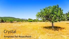  Presentation with fig tree - Slide deck enhanced with employee loyalty - retain written on a wooden background and a tawny brown colored foreground.