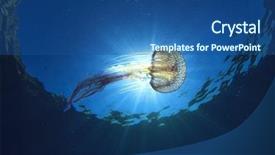  Presentation with sea sun - Theme featuring mediterranean sea - jellyfish underwater and sun background and a ocean colored foreground