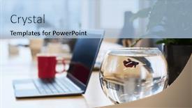  Presentation with water tank - PPT theme featuring medium-sized-spherical-glass-fish background and a light blue colored foreground