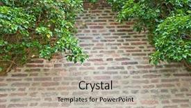  Presentation with brick wall - Colorful PPT theme enhanced with medival - natural frame of ivy growing backdrop and a light gray colored foreground