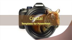  Presentation with objective - Beautiful slide set featuring mega pixels - tiger in objective leaning backdrop and a  colored foreground
