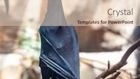  Presentation with zoo - Amazing slides having megabat-outdoors-in-the-zoo backdrop and a lemonade colored foreground