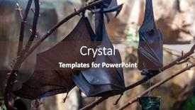  Presentation with zoo - Beautiful PPT theme featuring megabat-outdoors-in-the-zoo backdrop and a tawny brown colored foreground