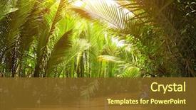  Presentation with mekong delta - Presentation design enhanced with mekong river vietnam asia background and a tawny brown colored foreground