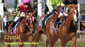  Presentation with australia melbourne - Cool new theme with melbourne-february-21-horses backdrop and a tawny brown colored foreground