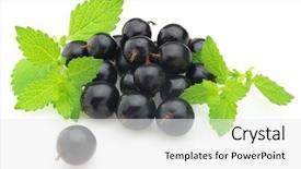  Presentation with currant - Slide deck featuring melissa with currant background and a white colored foreground