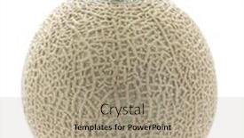  Presentation with melon - PPT theme having melon-muskmelon-greenhouse-melon-cut background and a coral colored foreground