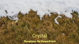  Presentation with last - PPT theme enhanced with melted-snow-and-last-year background and a tawny brown colored foreground