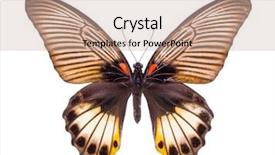  Presentation with butterfly - Cool new slide deck with memnon beautiful colorful butterfly moth backdrop and a soft green colored foreground