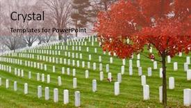  Presentation with memorial service - Amazing presentation having memorial service - arlington national cemetery near backdrop and a red colored foreground