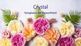  Presentation with memories - Slide deck having memories birthday - festive flower composition overhead view background and a  colored foreground