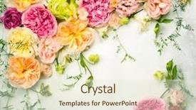  Presentation with oat flower - Amazing PPT layouts having memories birthday - festive flower composition overhead view backdrop and a  colored foreground